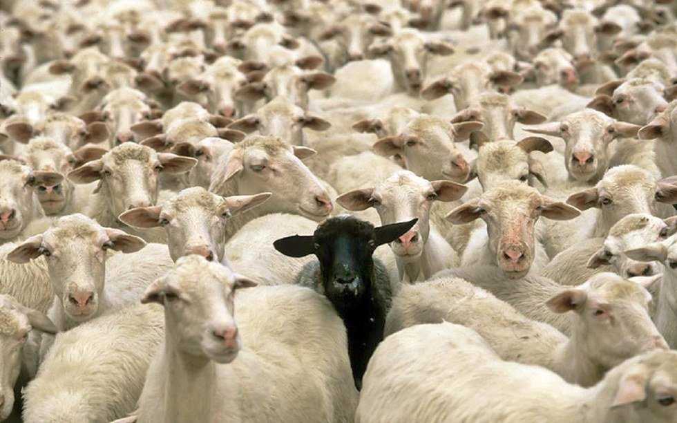 What It's Like To Be Liberal From A Conservative Environment
