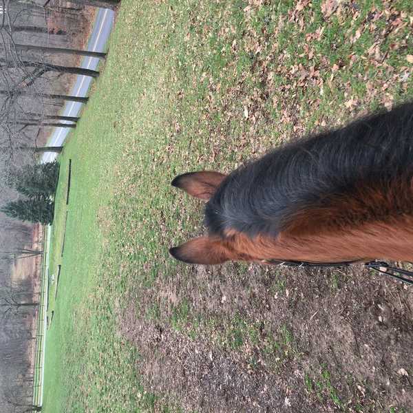 My Favorite Place To Be