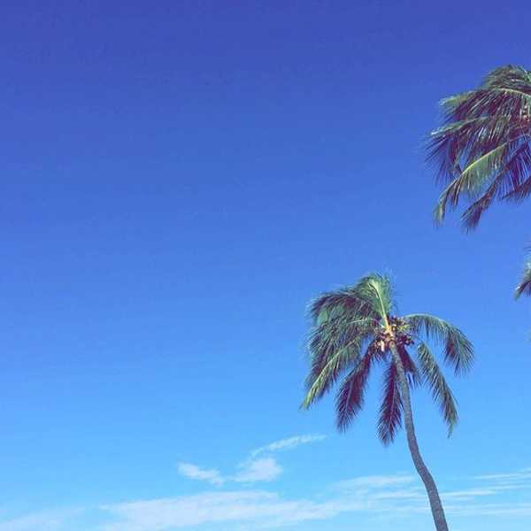 Why I Chose To Leave Hawaii
