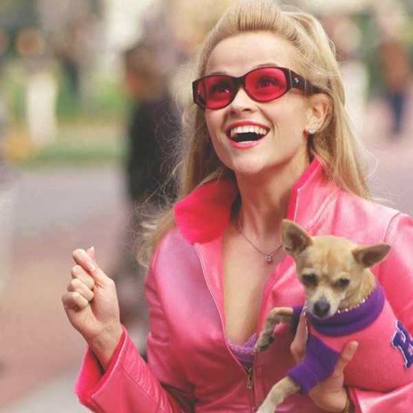 10 Commandments Of Being A Sorority Woman