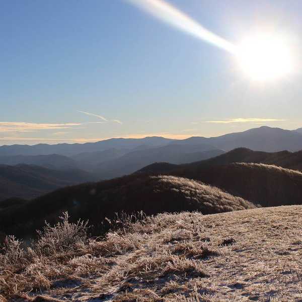 5 Reasons Why You Should Care About The Environment
