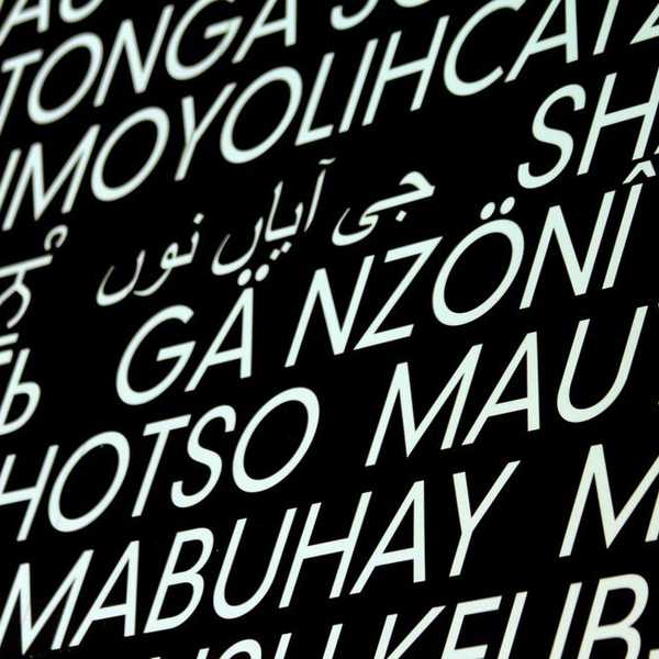 Why You Should Study Foreign Languages