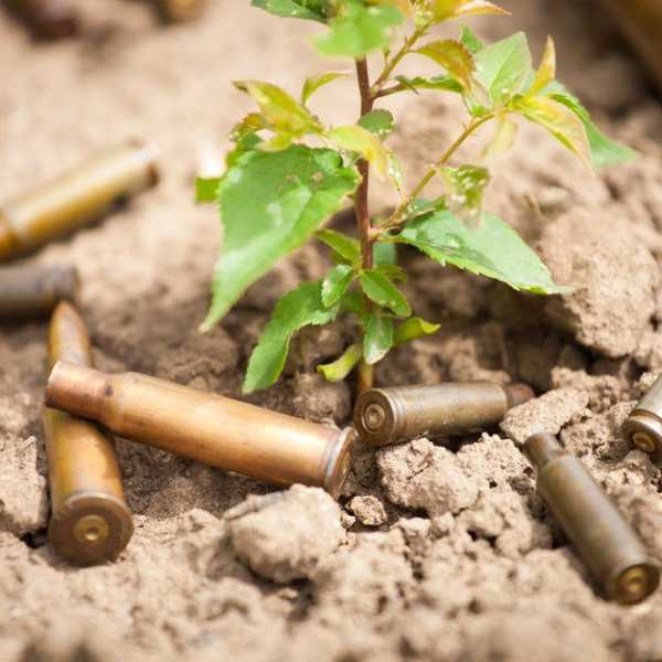 Biodegradable Bullets