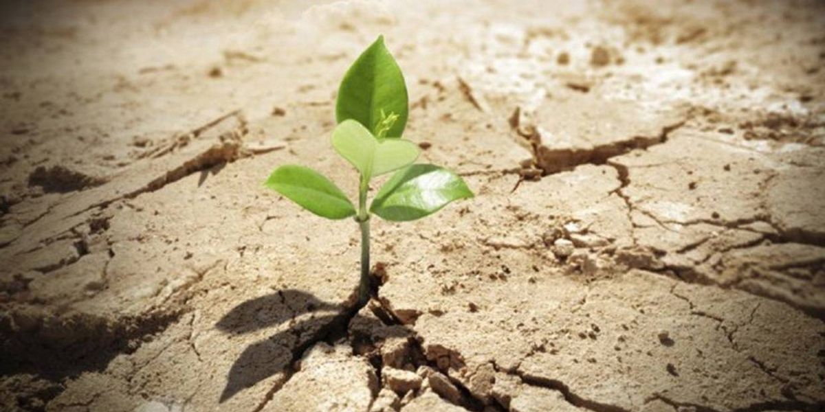 Transformative Suffering Suffering as Transformative | The Odyssey Online