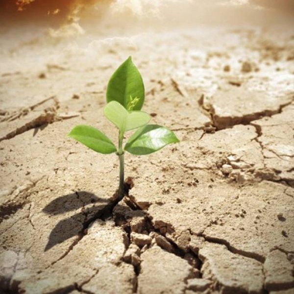 Suffering as Transformative