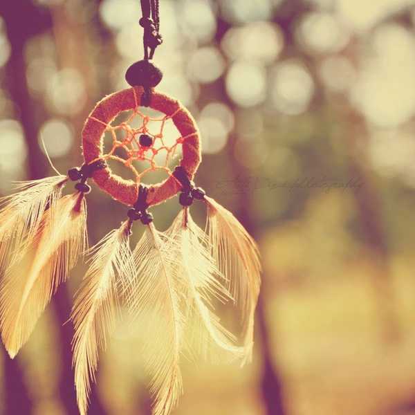 For Confused College Student With Big Dreams