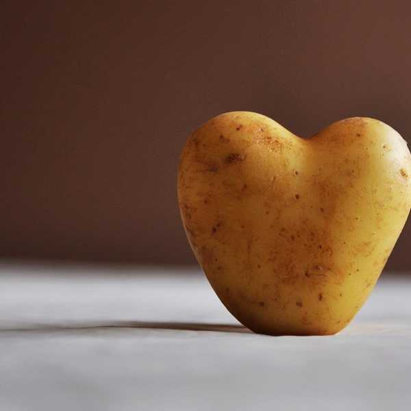 7 Reasons Why Potatoes Are Better Than Boys