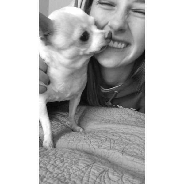 5 Reasons to Rescue A Dog