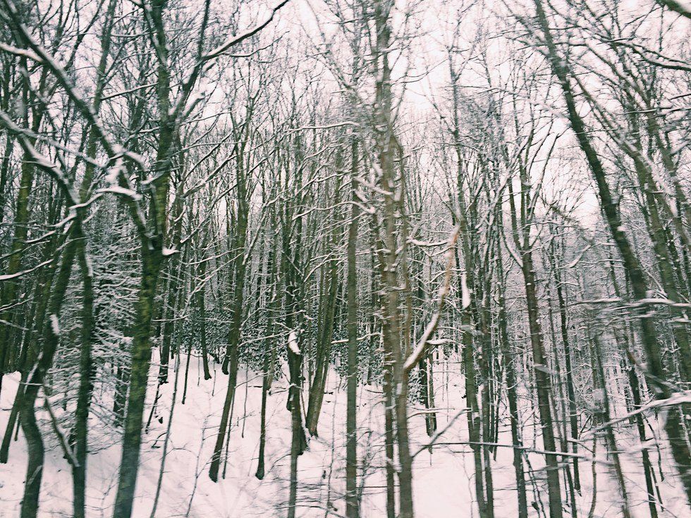 Getting Back Into The Swing Of Things