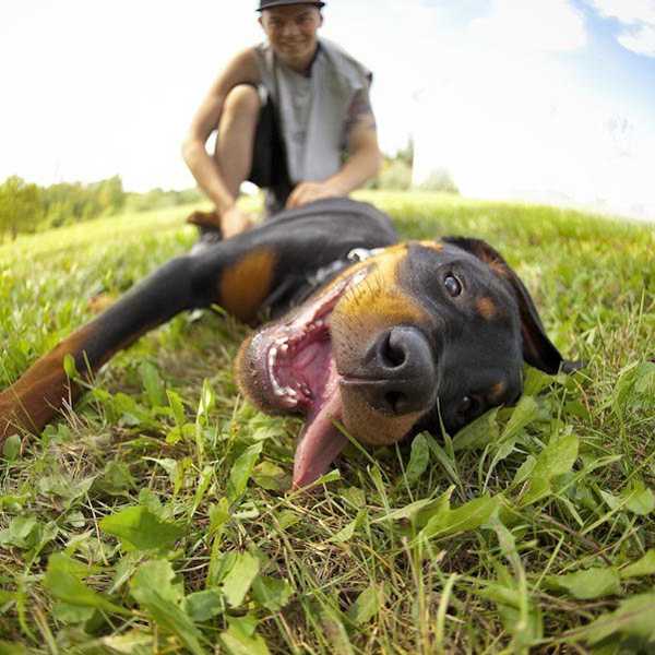 10 Reasons Why Your Dog Is Really Your Best Friend