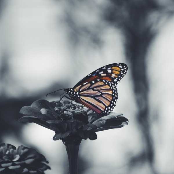 Why It's Totally Normal To Be Fearful Of Change