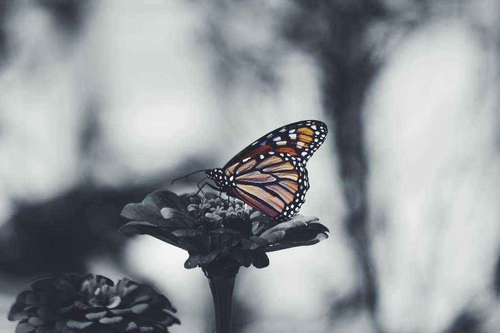 Why It's Totally Normal To Be Fearful Of Change