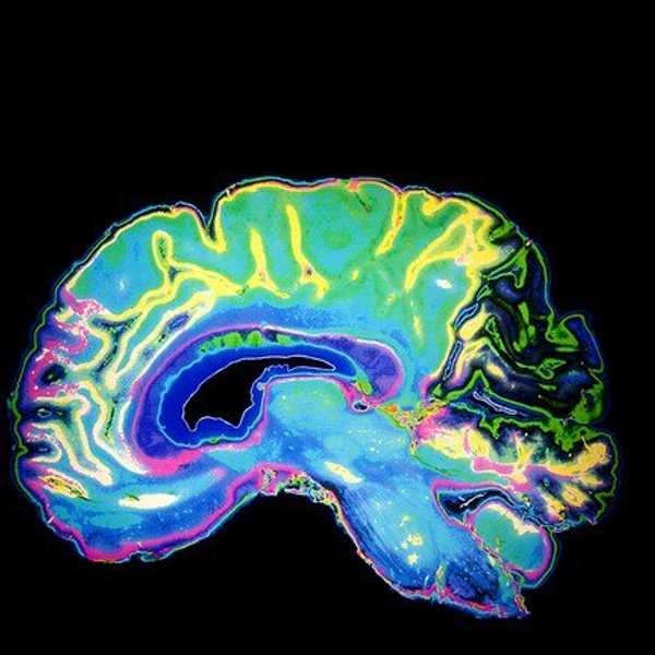 What Are We Neglecting When We Talk About Health Sciences?