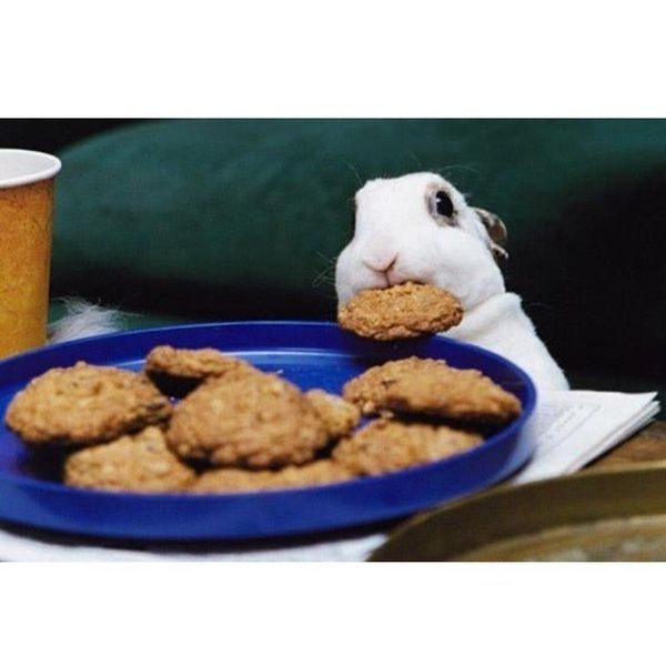 Helpful Tips To Prevent Binge Eating