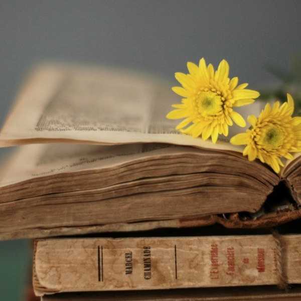 15 Words You Didn't Know You Needed In Your Life