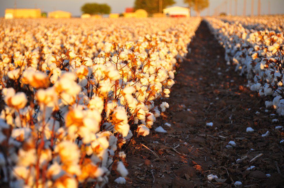 Why I Don't Mind The Mississippi Mud