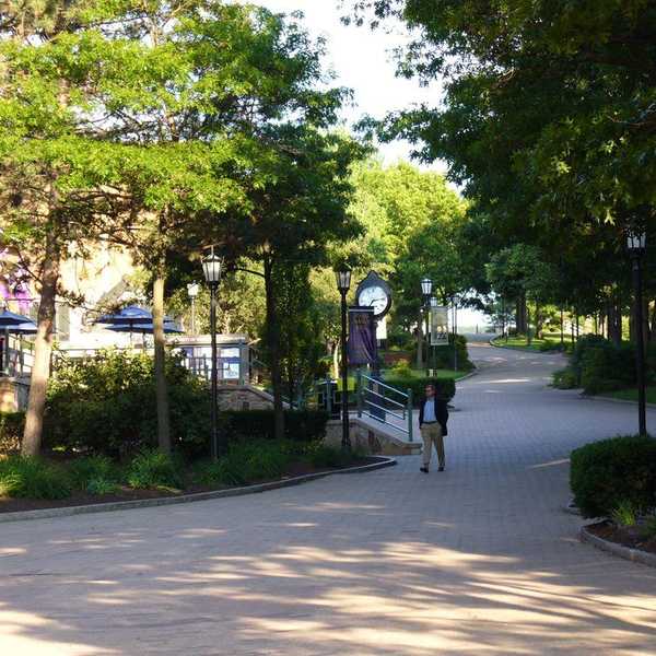 50 Fun Facts About Scranton You Probably Didn't Know