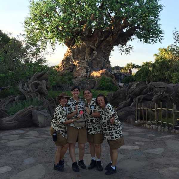 Why I Am Applying Again For The Disney College Program