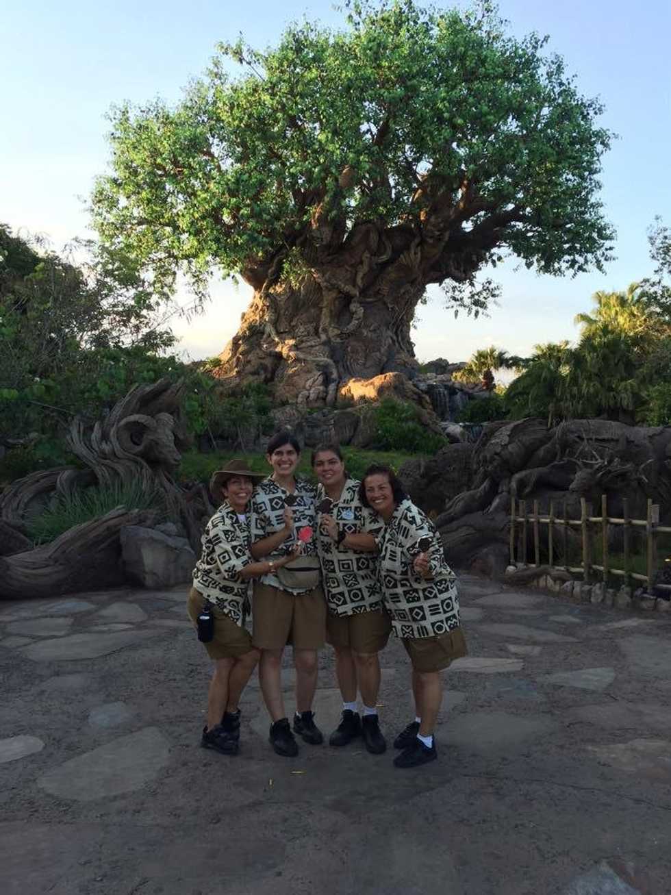 Why I Am Applying Again For The Disney College Program
