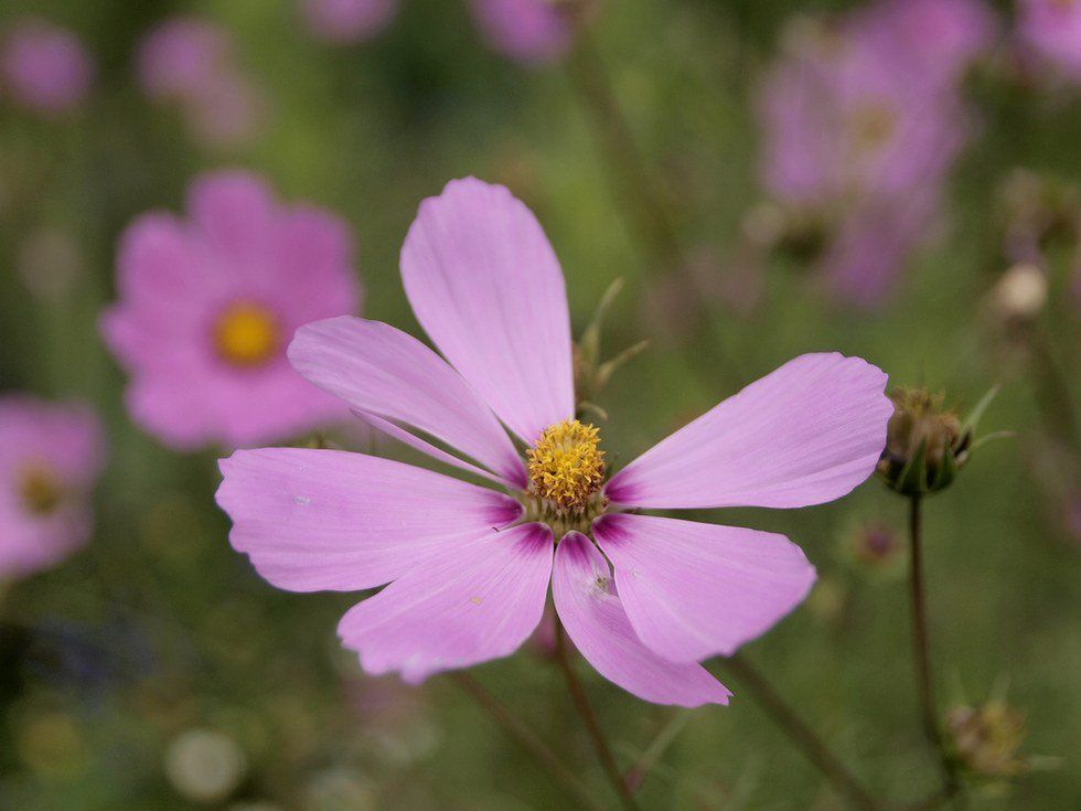 Imperfection: Poetry From The Heart