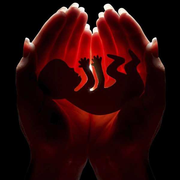 Banning Abortions Will Not End Abortion
