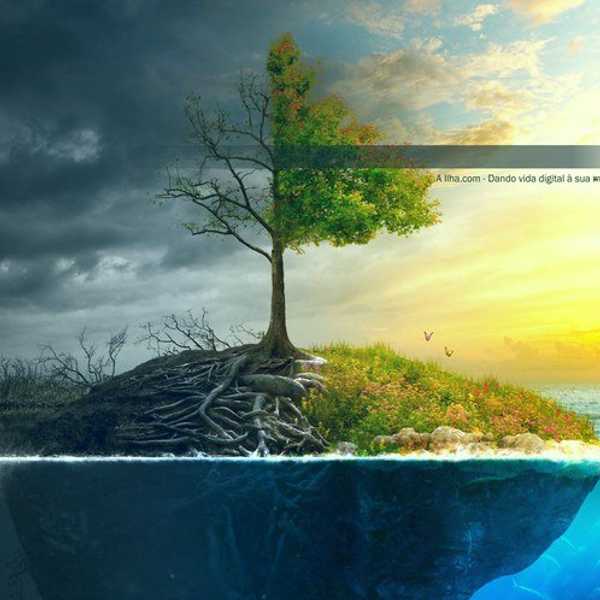 There are Reasons for Everything