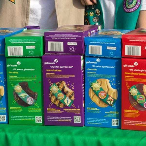 A Definitive Ranking Of Girl Scout Cookies