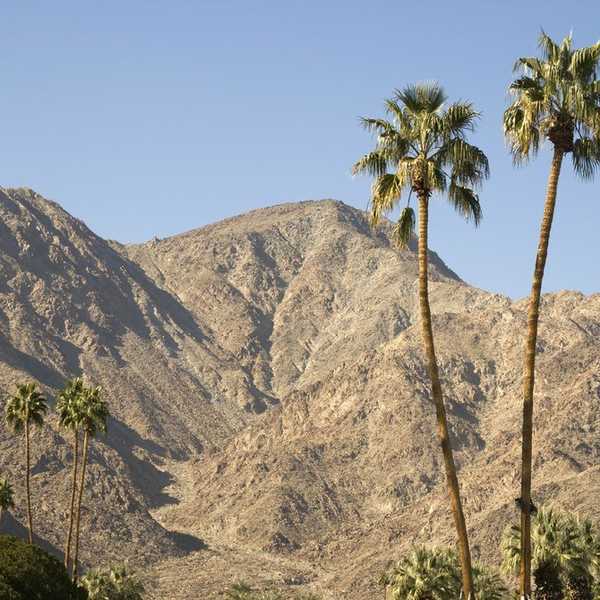 The Best Way To Escape The Torrential Downpour In L.A.