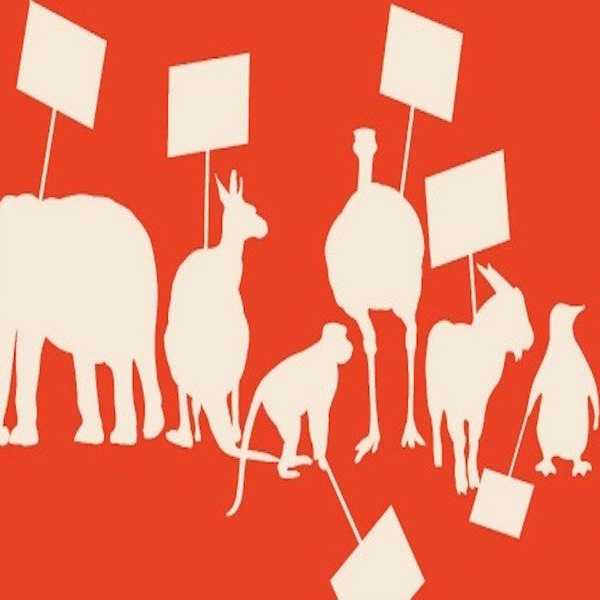 These Are The Biggest Animal Rights Victories From 2016