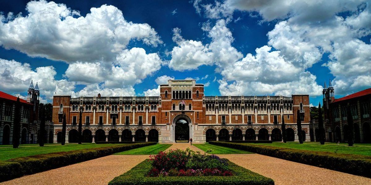 Dear Rice, Thank You | The Odyssey Online