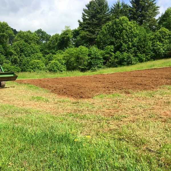 The Real Importance Of Agriculture Courses