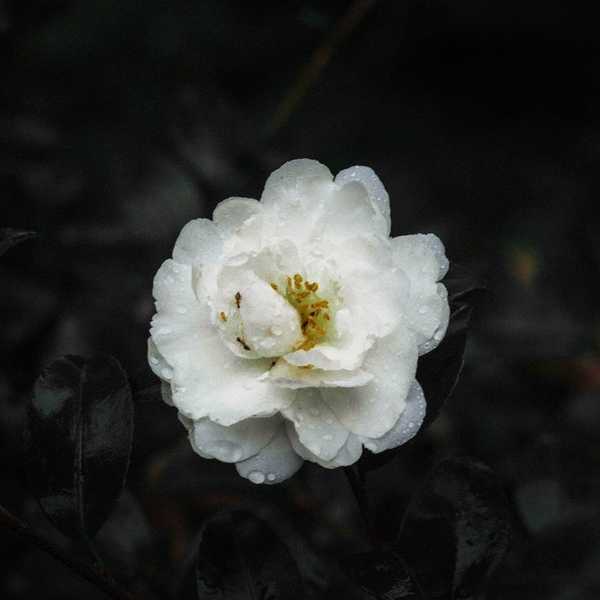 All Good Things Must Come To An End