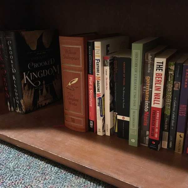 What My Literature Classes Have Taught Me