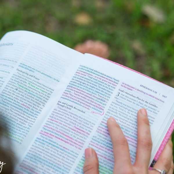 Beauty: The Truths, The Lies, And The God Who Made It