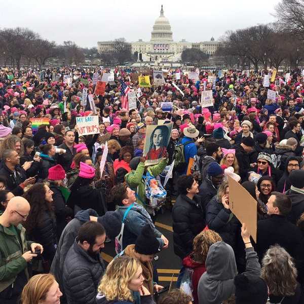 The Women's March On Washington, 2017