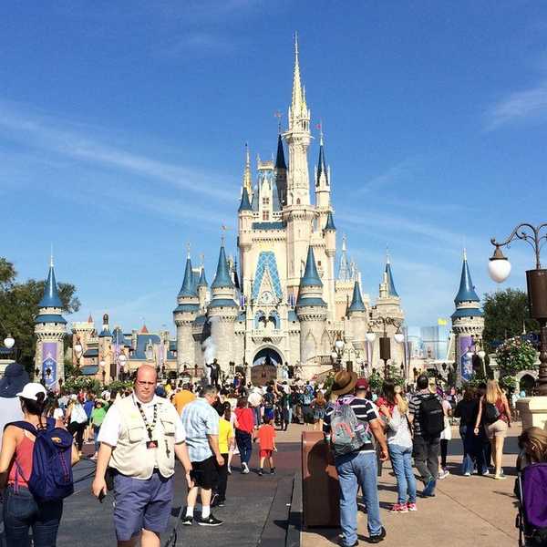 Eight Magical Disney World Tips and Tricks