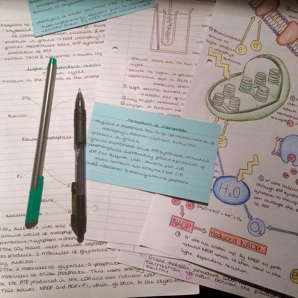 To Stay in College or Not to Stay in College