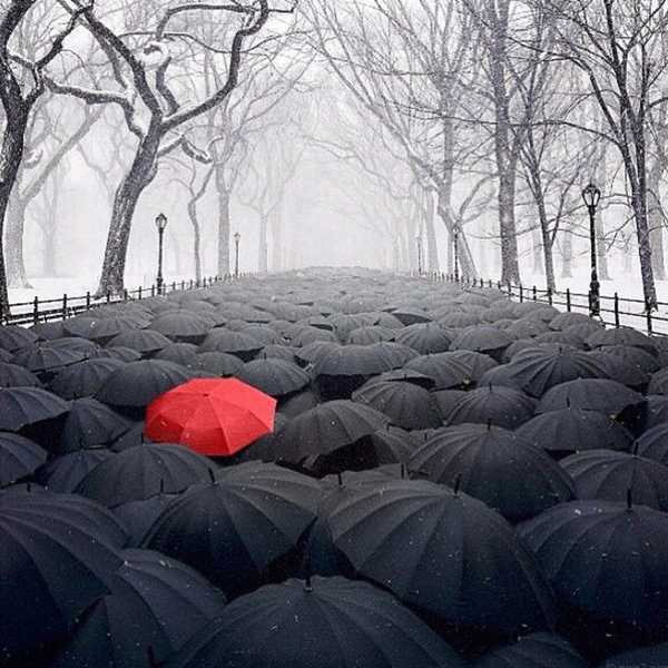 The Umbrella, A Horror Story