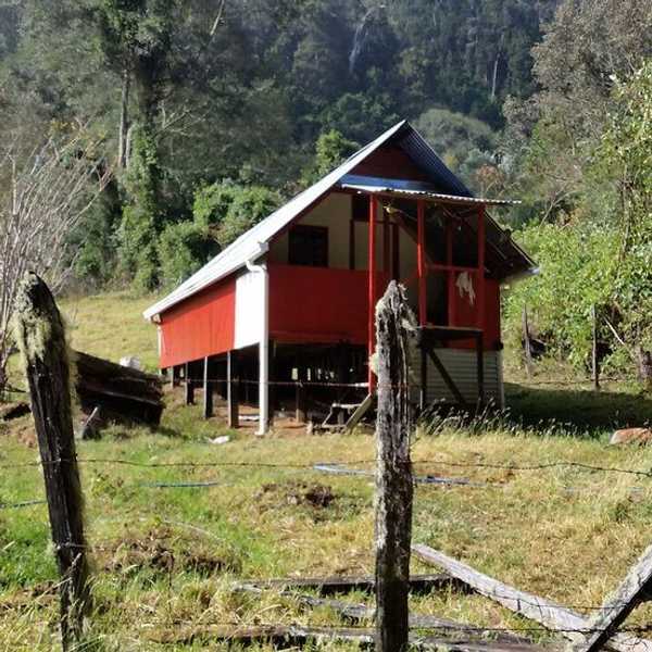 Why We Need Art, As Told By A Science Major