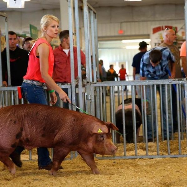 10 Signs You Grew Up A 4-H Kid