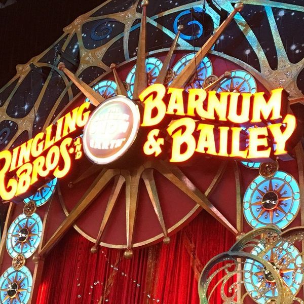 Ringling Brothers Closing: How We Have Been Blinded For 146 Years