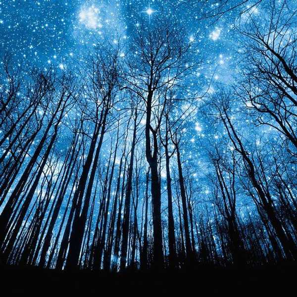 Why I Am A Night Owl