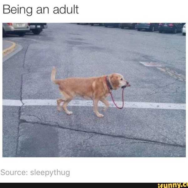 8 Things That Are Considered "Adulting"