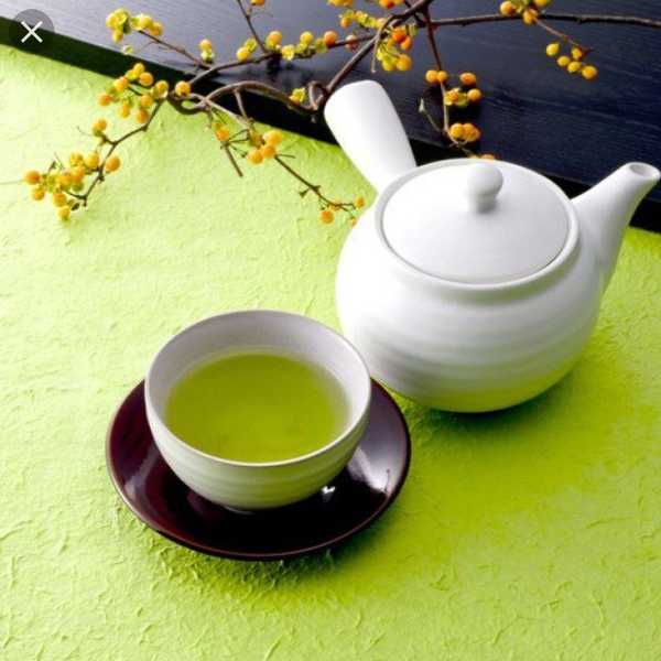 5 Reasons You Should Be Drinking Tea