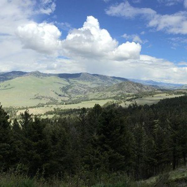 Ten Nontypical Things To Do In Yellowstone