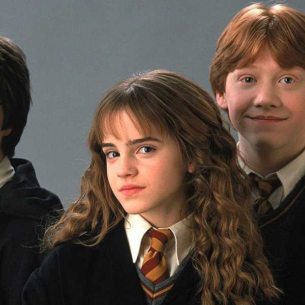 7 Signs You're The Gryffindor Of Your Friend Group