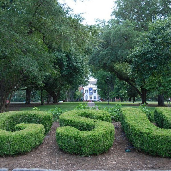 100 Things I'd Rather Do Than Go To Georgia Southern University