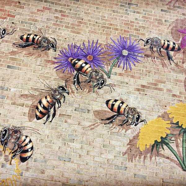 One Artist's Quest To Save The Honeybee, One Painting At A Time