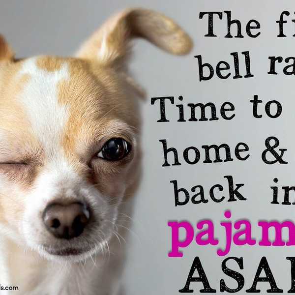 Oh, Home Sweet College