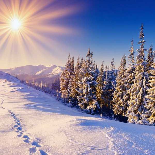 10 Things Only California Students Say During the Winter
